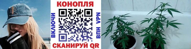 Как найти наркотики Кольчугино ГАШИШ  Галлюциногенные грибы  МЕФ  АМФ 