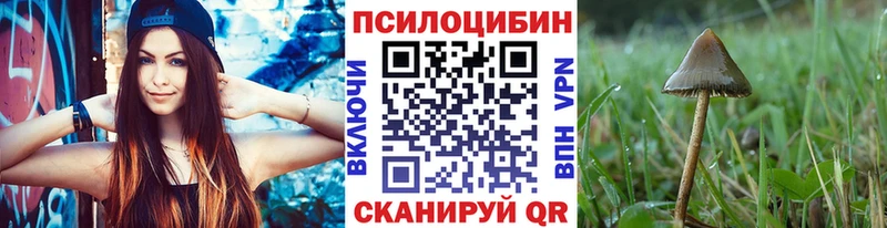 Галлюциногенные грибы прущие грибы что такое наркотик Кольчугино