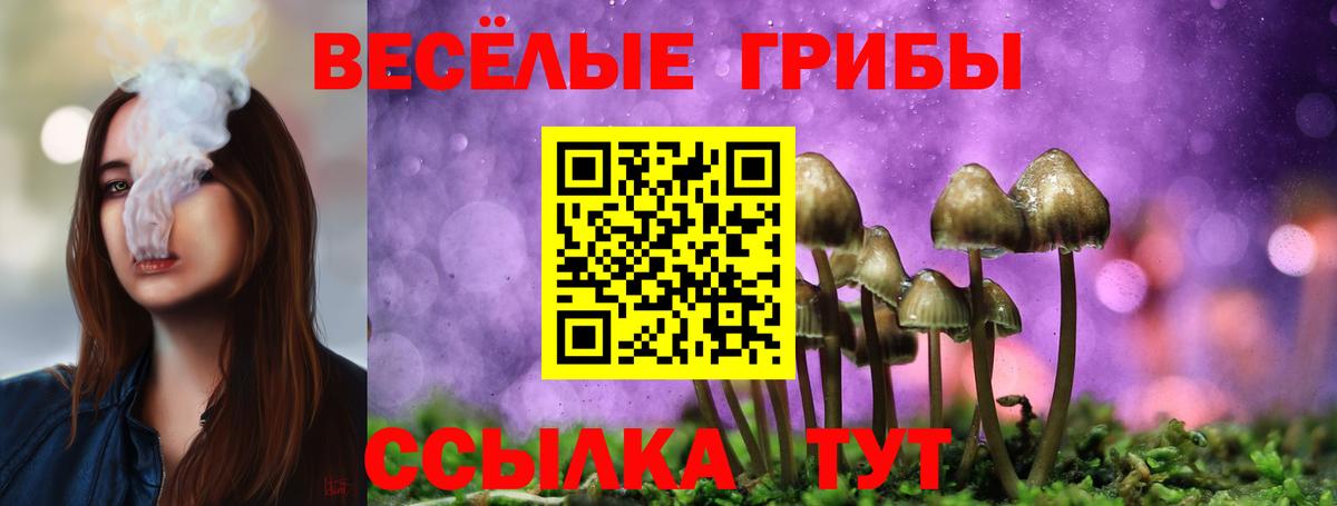 Галлюциногенные грибы мухоморы  Галлюциногенные грибы MAGIC MUSHROOMS  Кольчугино  Вход с VPN 
